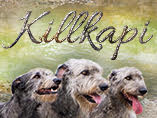 Killkapi banner